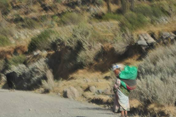 Chola caminha em estrada próxima ao Canyon Colca, região de Arequipa, no Peru